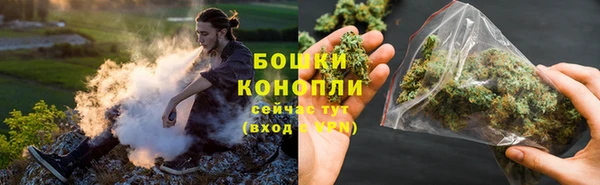 apvp Инта
