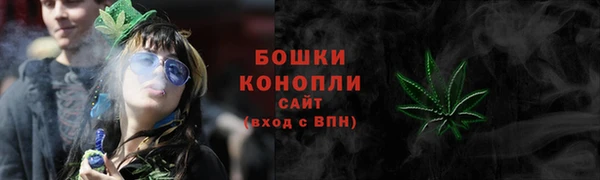 apvp Инта