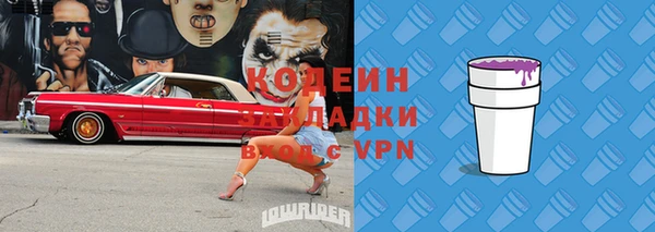 apvp Инта